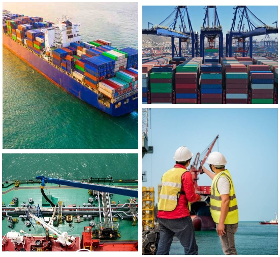 Ship and Marine Surveys